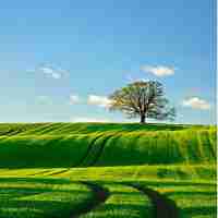 快​速﻿DNS优﻿化‍方​法‌